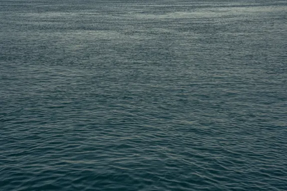 Casino Jackpot Molly Podrška